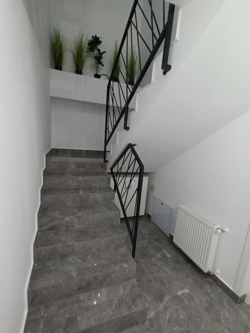 Old Town Studio 2 Apartment Nr 2 Baia Mare Exterior foto